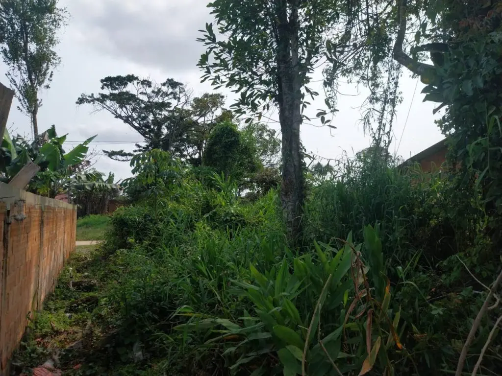 Ação da Polícia Ambiental em Guaratuba 1