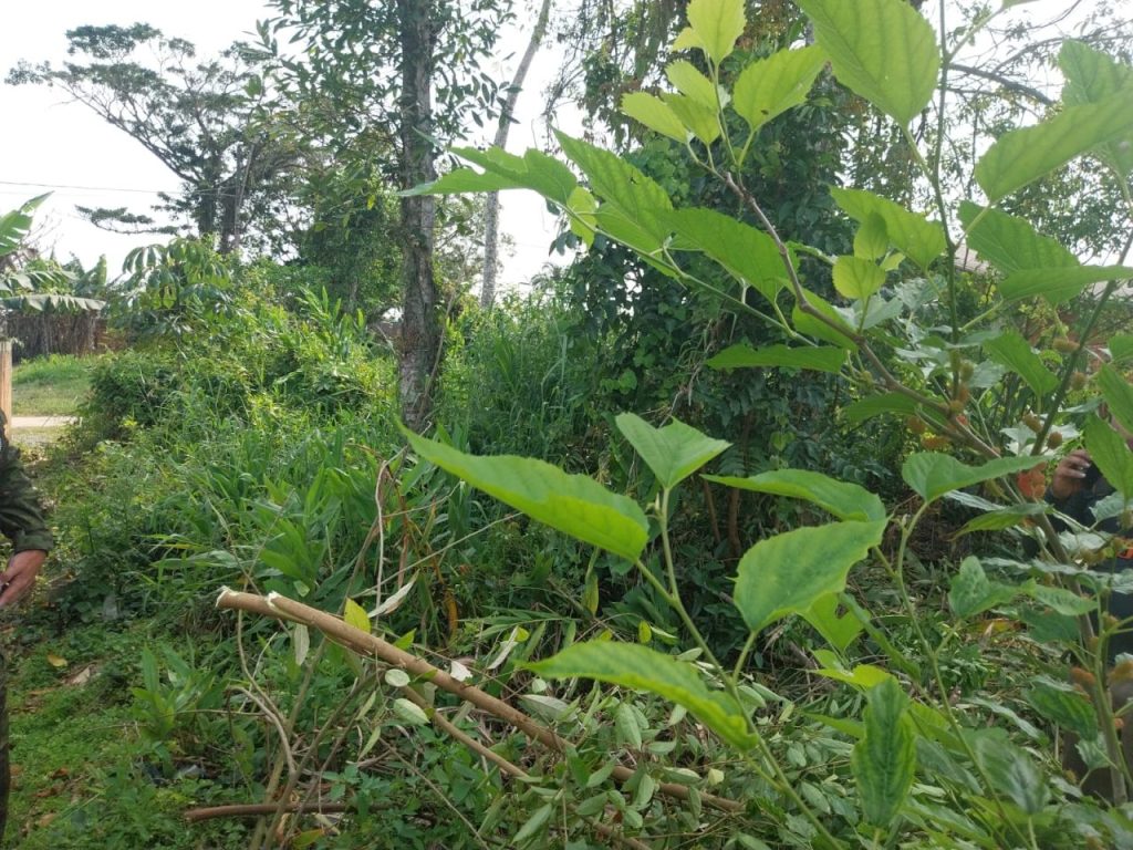 Ação da Polícia Ambiental em Guaratuba 8.jpeg