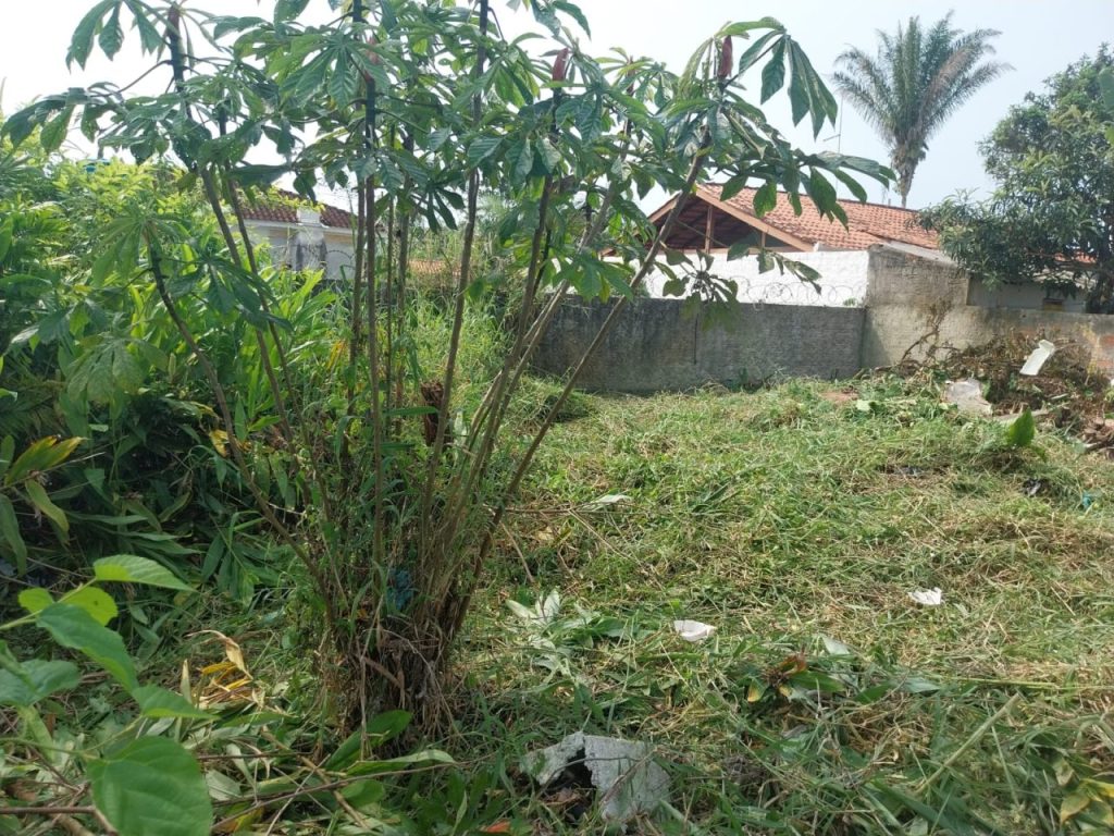 Ação da Polícia Ambiental em Guaratuba 9.jpeg