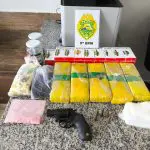 Mais drogas apreendidas em Guaratuba 2