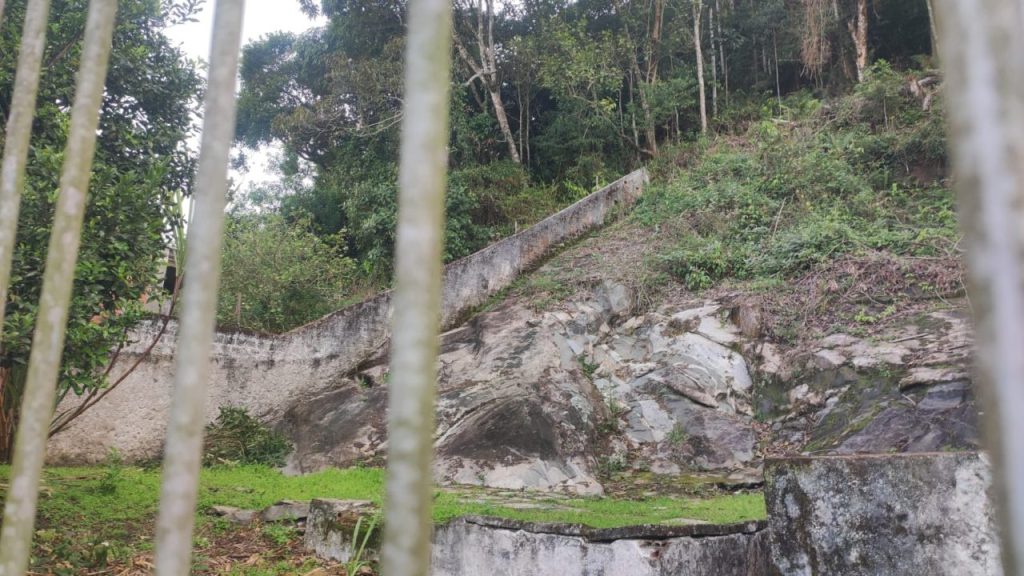 Polícia Ambiental – Força Verde 2.jpeg