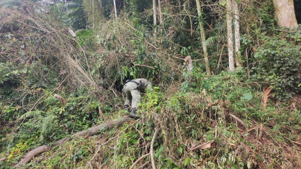 Polícia Ambiental – Força Verde 5.jpeg