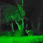 Polícia Ambiental Tentativa de Incêndio em Guaratuba (40)