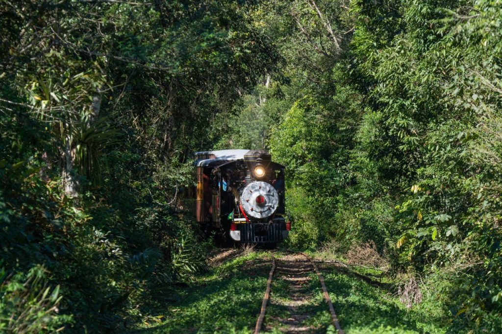 Maria Fumaça - Foto: Associação Brasileira e Preservação Ferroviária (ABPF)