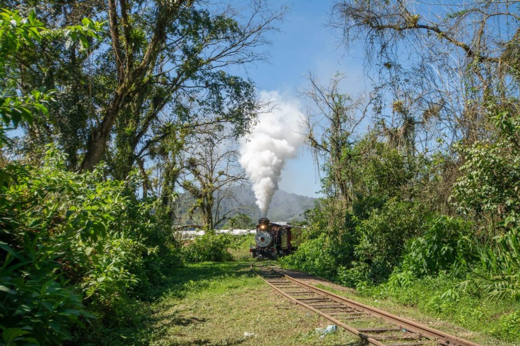 Maria Fumaça - Foto: Associação Brasileira e Preservação Ferroviária (ABPF)