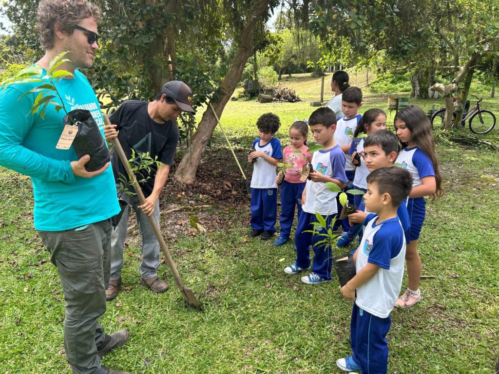 plantar porto – foto allan possas2