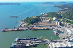 Porto de São Francisco do Sul cresce e se torna o maior de Santa Catarina.