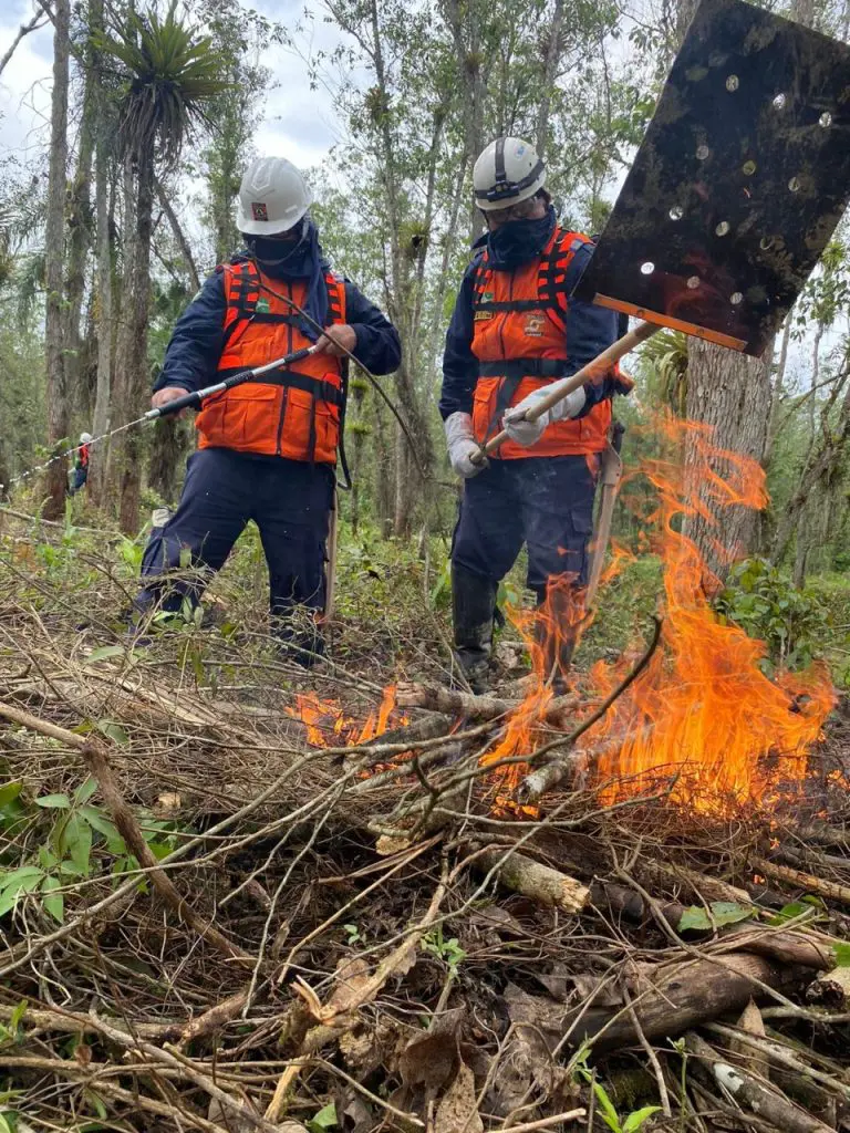 Instrução GCM Combate a Incêndio Florestal 901