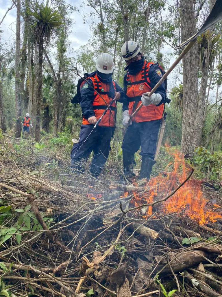 Instrução GCM Combate a Incêndio Florestal 981