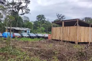 Polícia Ambiental Ação em Guaratuba 01