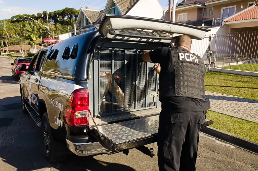 Prisão por homicídio em Guaratuba