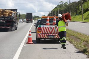 Manutenção da via será feita em trecho considerado perigoso por causa do alto número de acidentes. Foto: divulgação