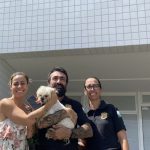 Câo devolvido para a vítima