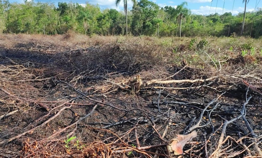 Fisclização Polícia Ambiental Guaratuba 1