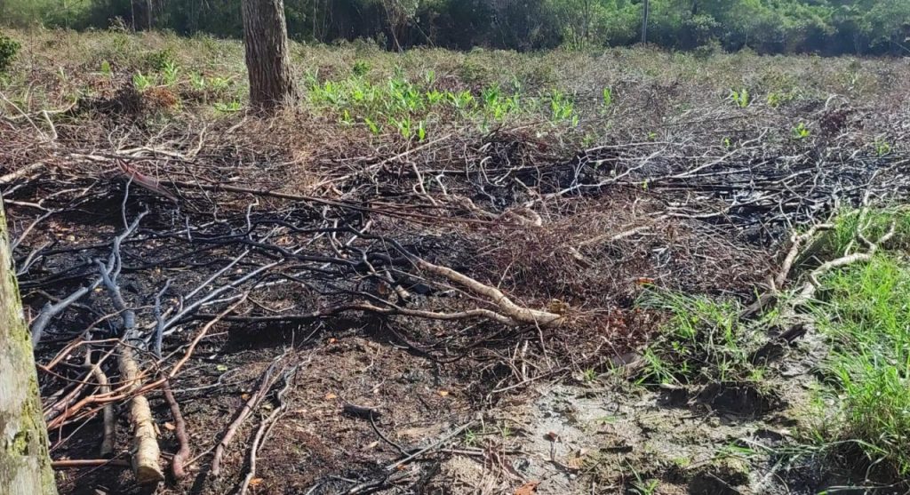 Fisclização Polícia Ambiental Guaratuba 14
