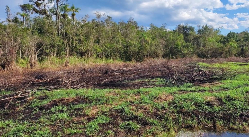 Fisclização Polícia Ambiental Guaratuba 15