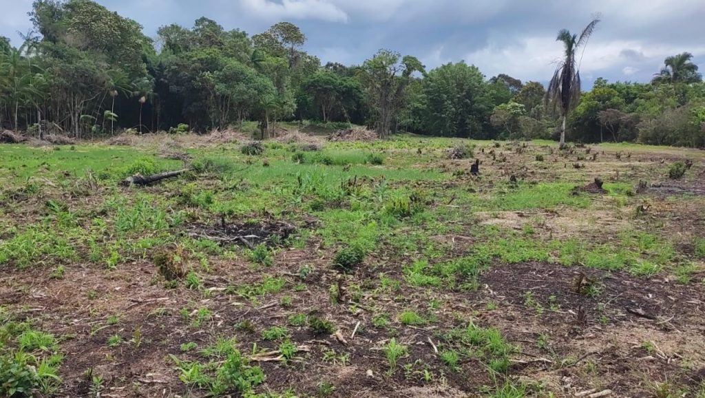 Fisclização Polícia Ambiental Guaratuba 2