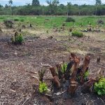 Fisclização Polícia Ambiental Guaratuba 3