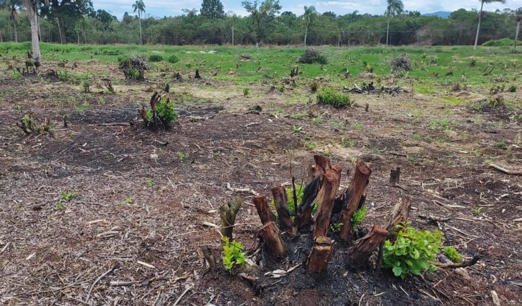 Fisclização Polícia Ambiental Guaratuba 3