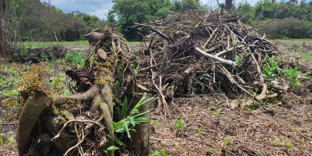 Fisclização Polícia Ambiental Guaratuba 31
