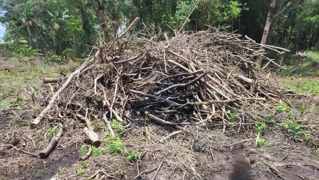 Fisclização Polícia Ambiental Guaratuba 5