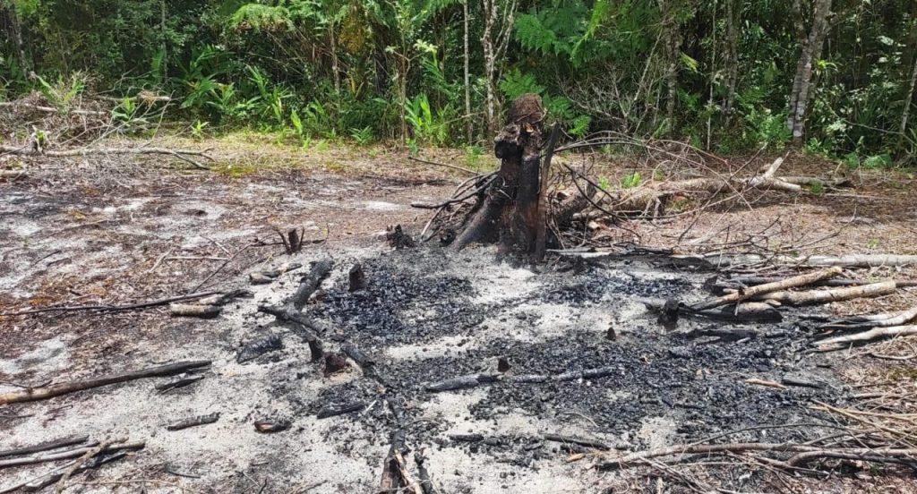 Fisclização Polícia Ambiental Guaratuba 9