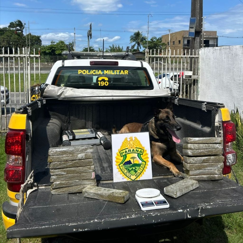 Polícia Militar Apreensão de Drogas Paranaguá