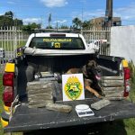 Polícia Militar Apreensão de Drogas Paranaguá