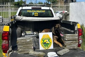 Polícia Militar Apreensão de Drogas Paranaguá