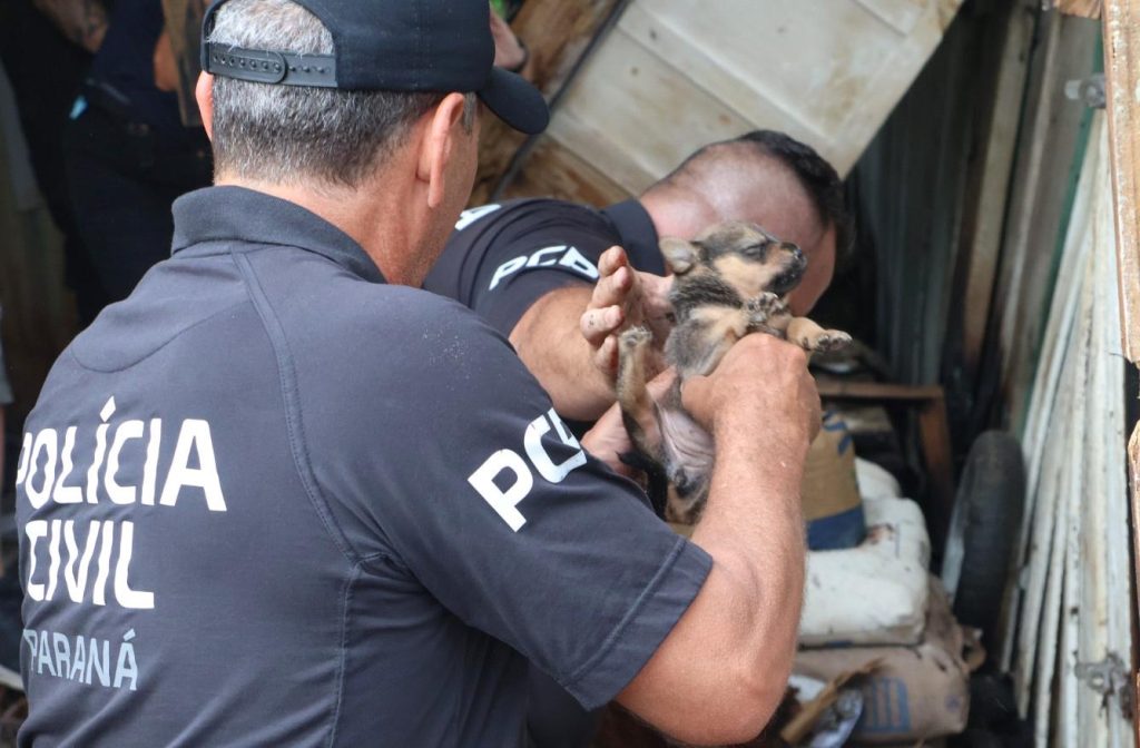 RESGATE CADELA POLÍCIA CIVIL GUARATUBA