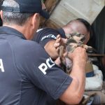 RESGATE CADELA POLÍCIA CIVIL GUARATUBA