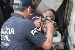 RESGATE CADELA POLÍCIA CIVIL GUARATUBA