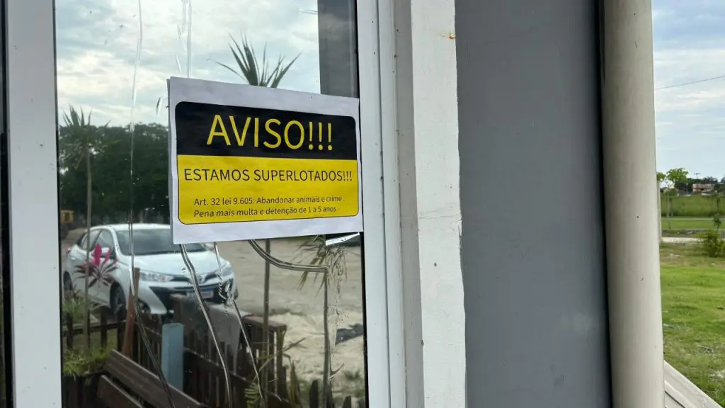 SEMMA – ABANDONO (20)