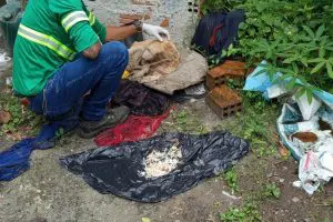 foto resgate animal 3
