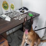 Apŕeensão de drogas em Guaratubas 1