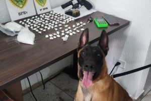 Apŕeensão de drogas em Guaratubas 1