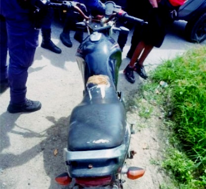 GCM recupera moto furtada em Paranaguá