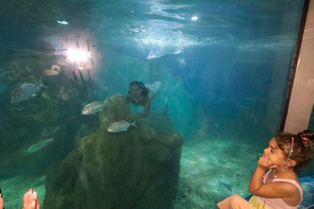 aquario paranagua – geraldo bubniak11