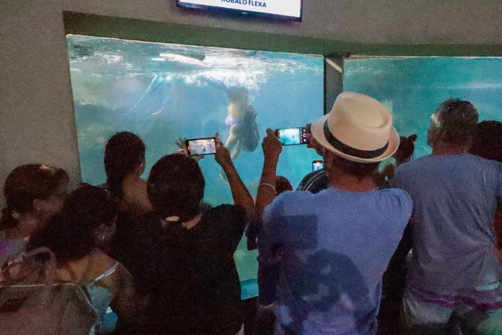 aquario paranagua – geraldo bubniak2
