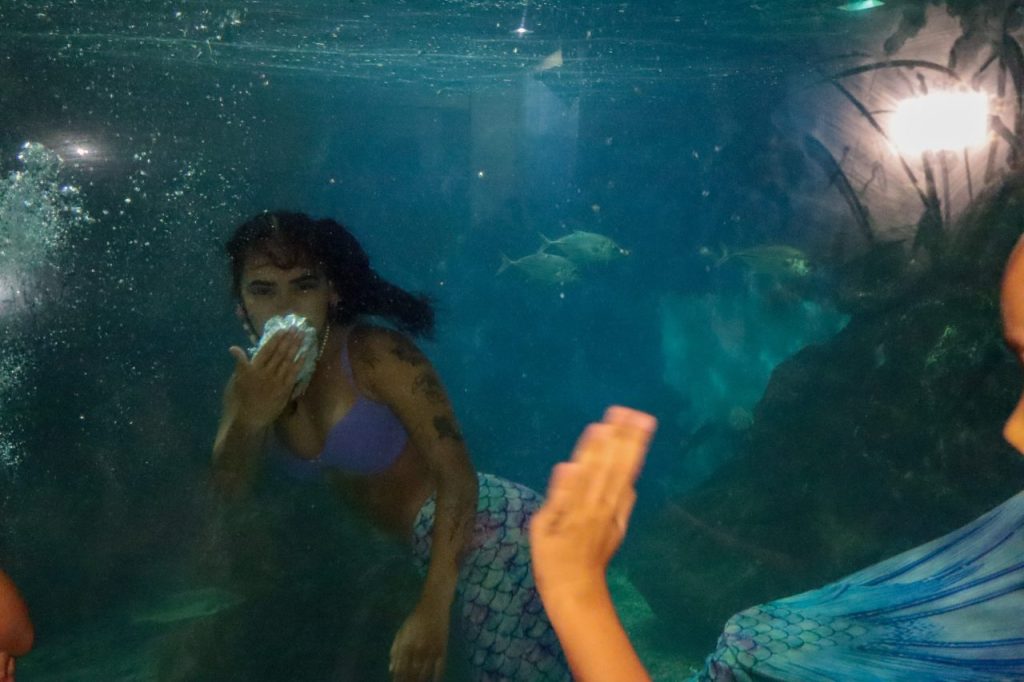 aquario paranagua – geraldo bubniak3