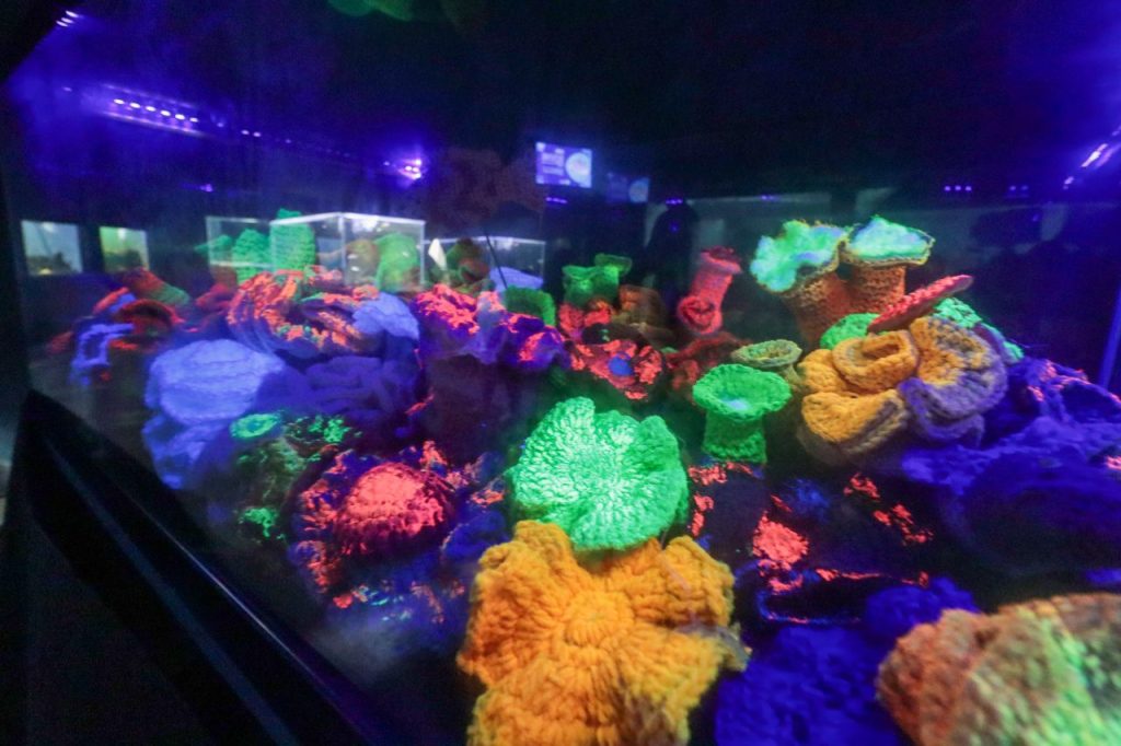 aquario paranagua – geraldo bubniak9