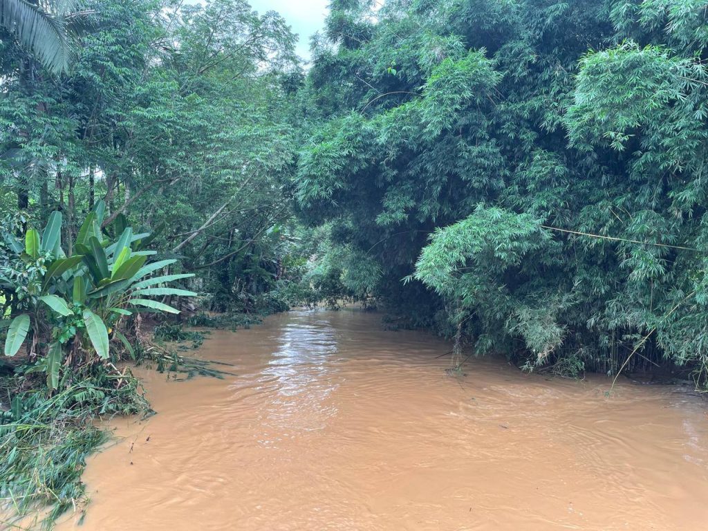 Região do bairro da Marta próximo a BR- 277.
