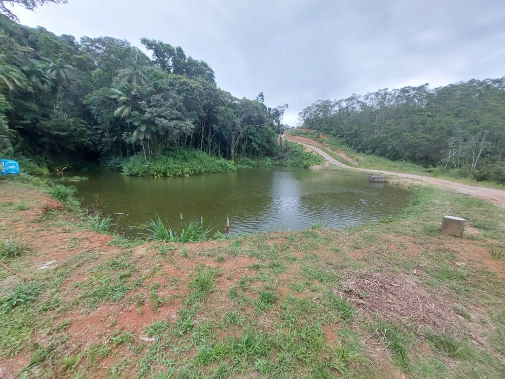 Ação da Polícia Ambiental em Guaratuba 3