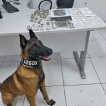 Apreensão de drogas na Ilha do Mel 233