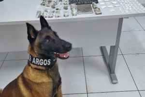 Apreensão de drogas na Ilha do Mel 233