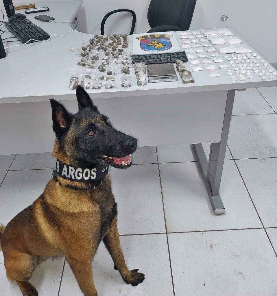 Apreensão de drogas na Ilha do Mel 233