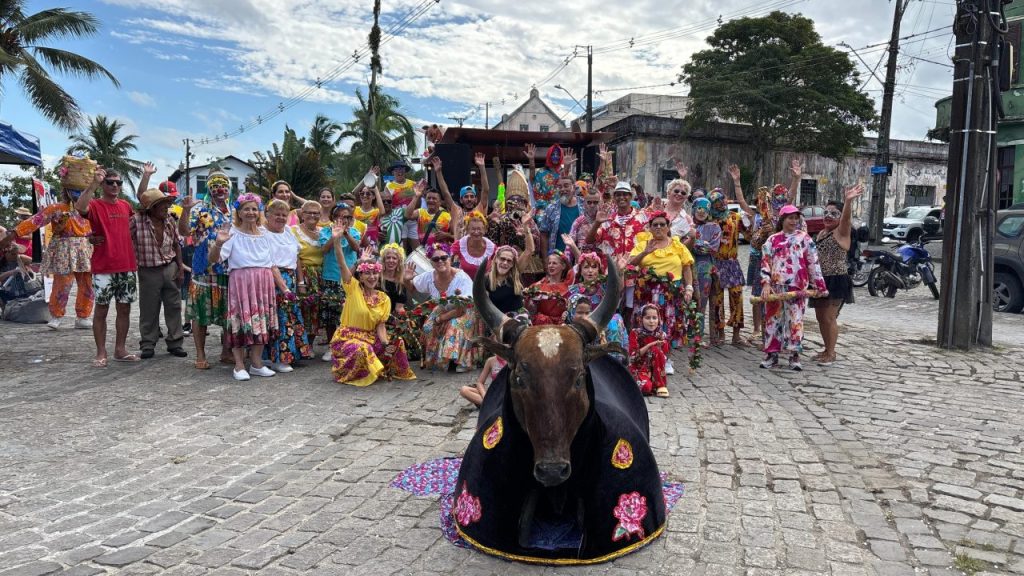 BOI DE MAMAO – FOTO JB LITORAL (4)