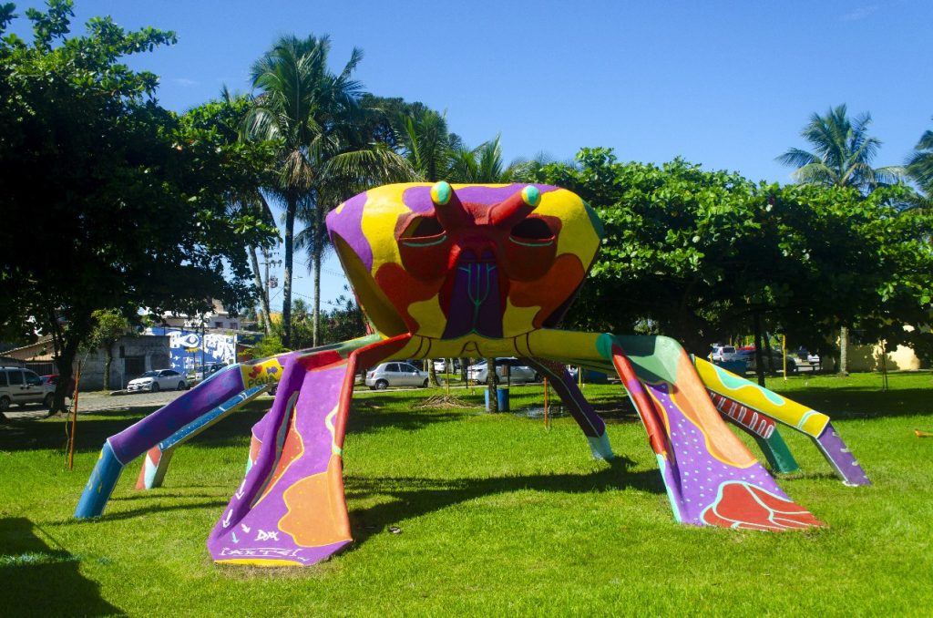 CARANGUEJO PARANAGUA –  Igor Gabriel Mattanó (7)
