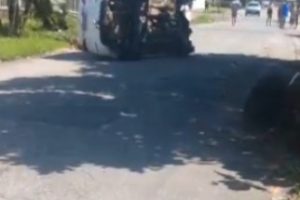 Carro bateu em árvore em Matinhos