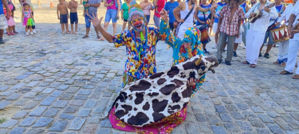 Folia do Boi de Mamão – divulgação (1)